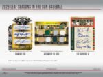 2026 Leaf Seasons in the Sun Baseball Hobby 10-Box Case - Image 4